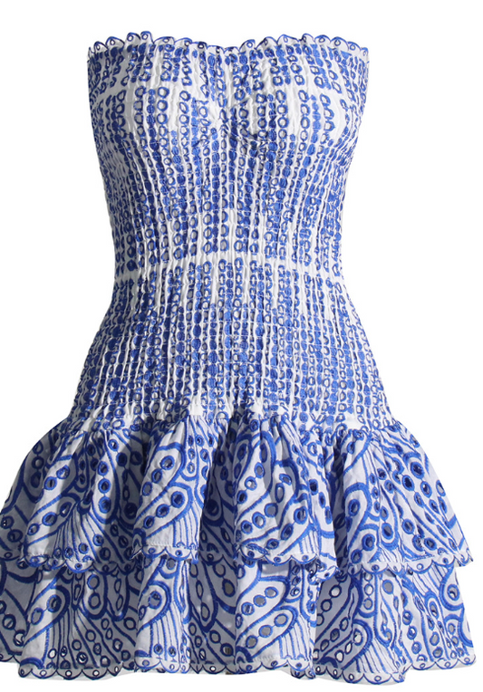 Blu Magnolia 2 tier mini dress
